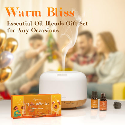 Essential Oil Blends Set  | 6 Pure Aromatherapy Oils | Relaxation & Wellness | DIY Projects